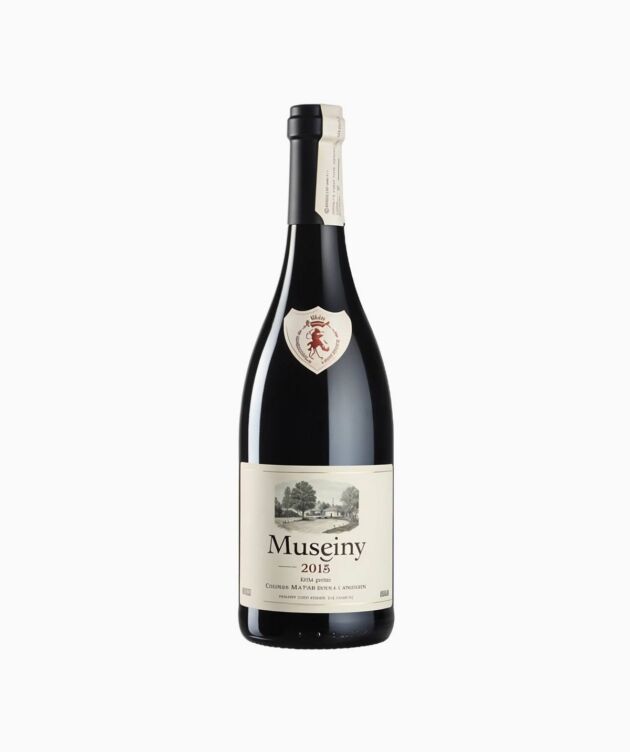 Museiny 2015