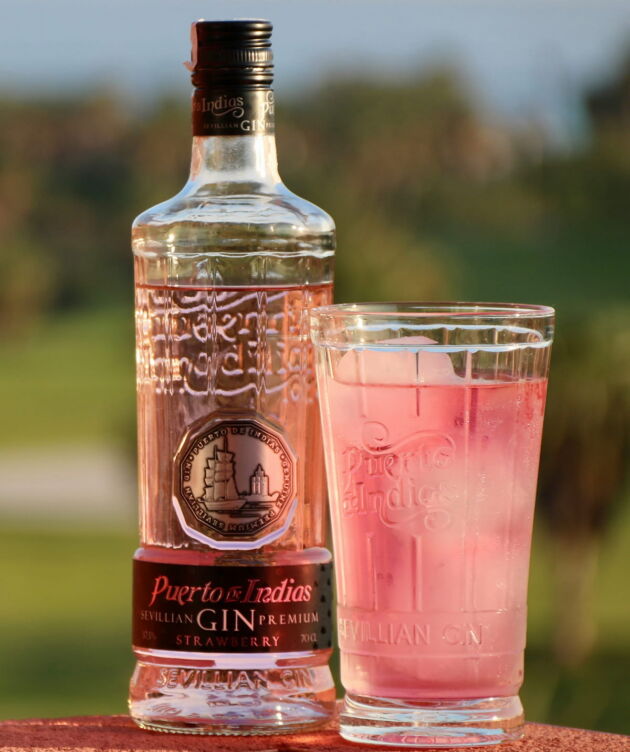 Deonpal pink gin - Image 2